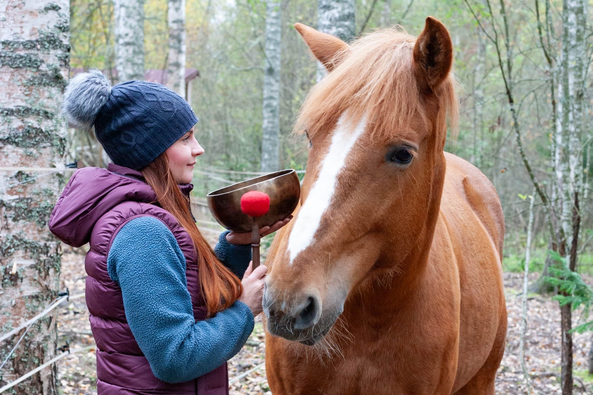 Eläimet ja äänimaljat - Pranabowl