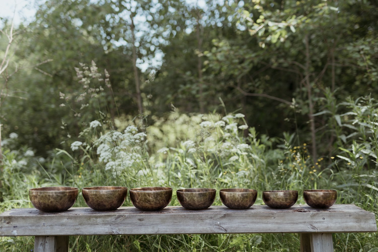 Pranabowl